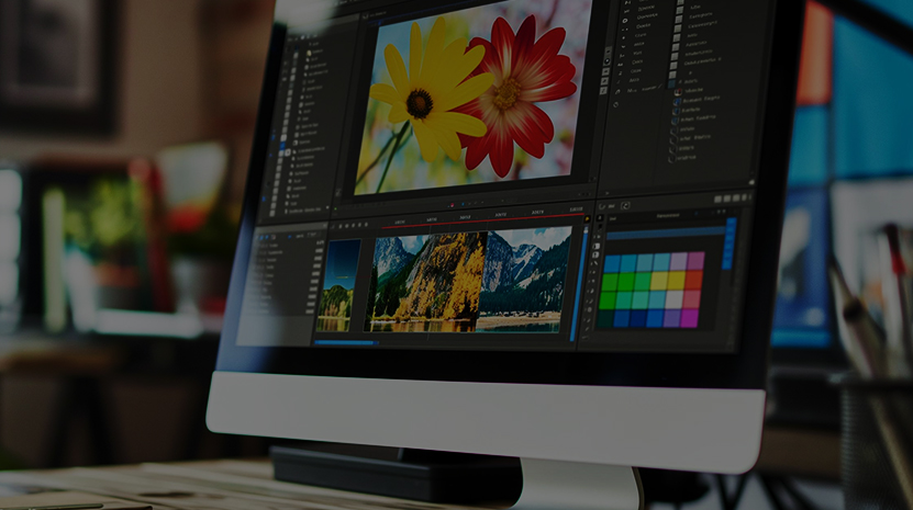 サイト/動画/デザイン制作
